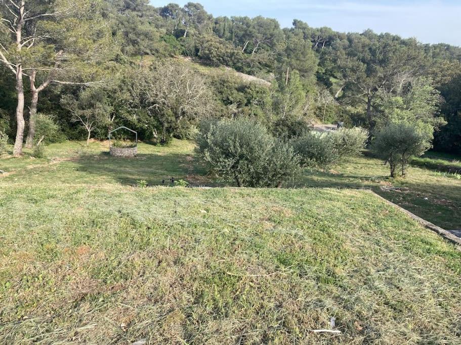 Magnifique Villa De Luxe Au Coeur De La Garrigue Nîmes Esterno foto